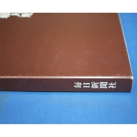 駒子の紙人形 / 石垣駒子 / 毎日新聞社