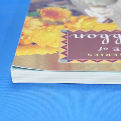 The ELEGANCE of Silk Ribbon / Joan Watters