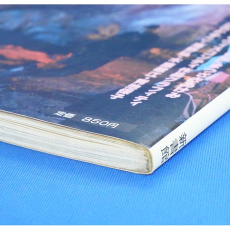 ペーパームーン ヴィスコンティ=ルードウィッヒ・神々の黄昏 / 新書館