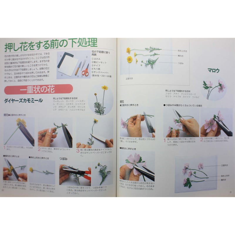暮らしの押し花 / 柳川昌子 / NHKおしゃれ工房 / 日本放送出版協会
