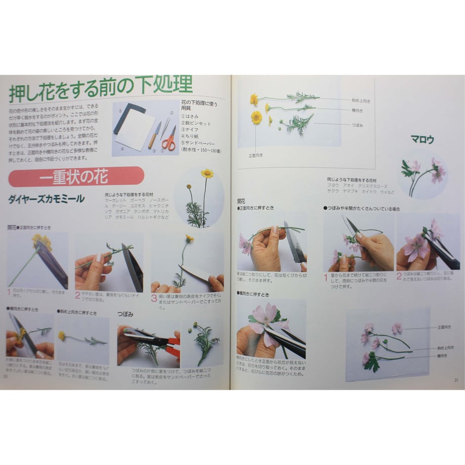 64cf4a3e3b4938003cb63034
