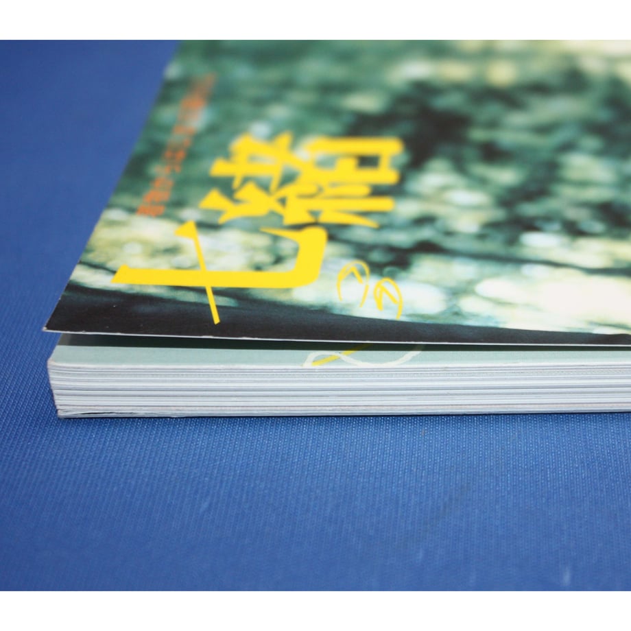 64e568c47041a100336fa4ce