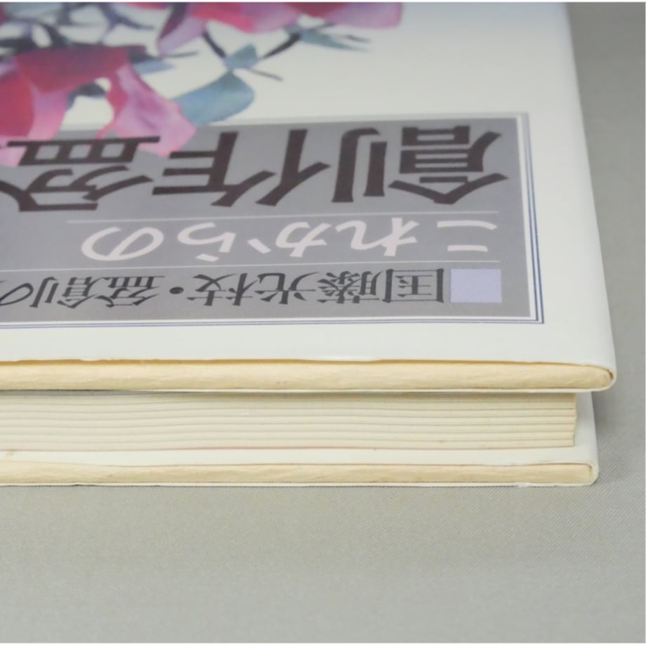 69d4b4e34961f50041b81555