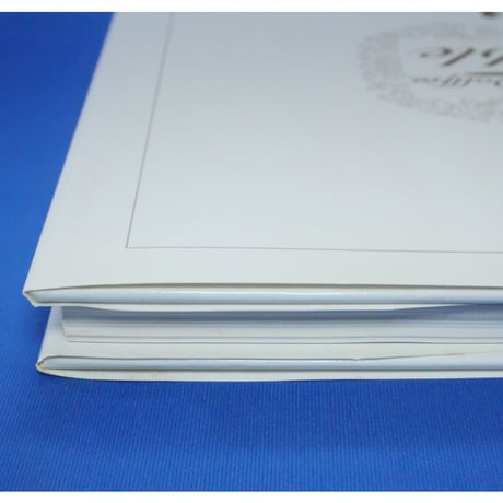 スーパードルフィー バイブル Super Dollfie Bible 箱入り / メディアワークス