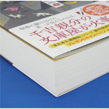 気の毒ばたらき きたきた捕物帖三 / 宮部みゆき PHP研究所
