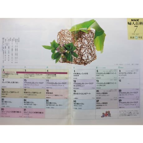 NHK婦人百科 平成2年 / 1990年7月号