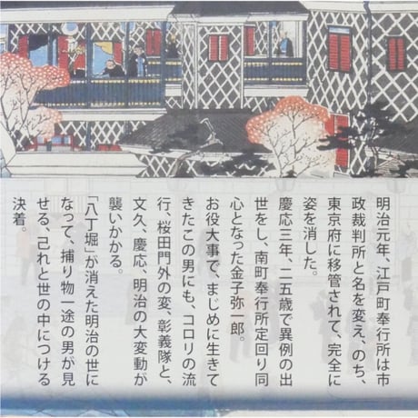 東京影同心 / 杉本章子 講談社
