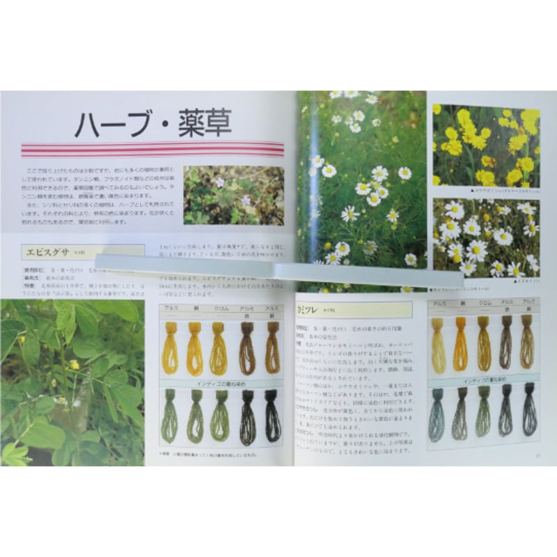 草木の染色工房 身近な草花、樹木を使って / 加藤國男 / グラフ社 | IW