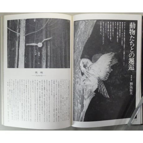季刊銀花 第三十七号 春 昭和54年/1979年37号 文化出版局