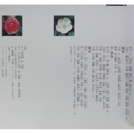 家庭画報特選 茶の湯の楽しみ 茶花歳時記 炉編 / 世界文化社