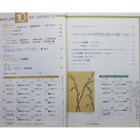 NHK婦人百科 昭和54年 / 1979年10月号