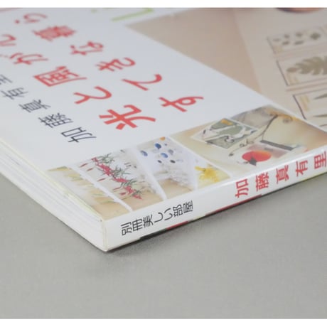 加藤真有里さんの光と風が心地よいすてきな暮らし 別冊美しい部屋 主婦と生活社
