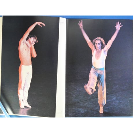 第4回世界バレエフェスティバル / 写真：瀬戸秀美 / ダンスマガジン増刊号 新書館