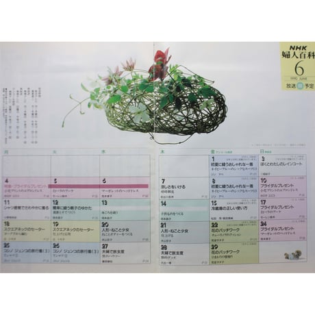 NHK婦人百科 平成2年 / 1990年6月号