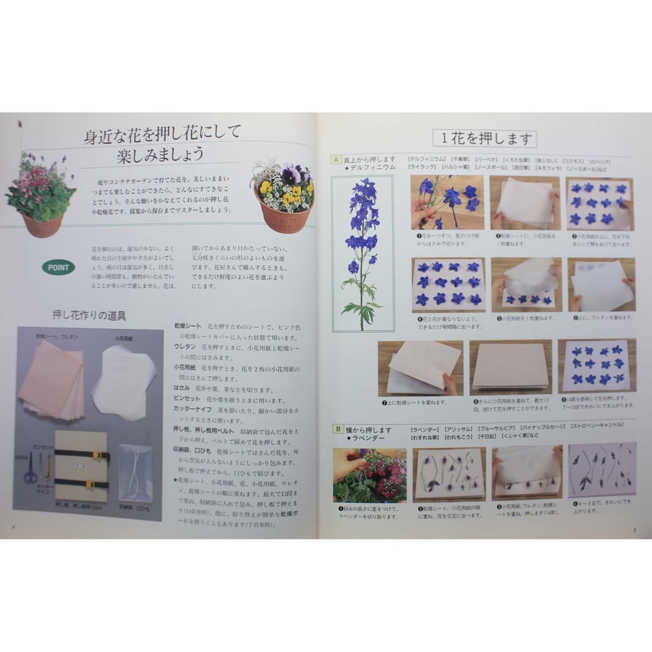 64cf448aaf98d90056f33a50