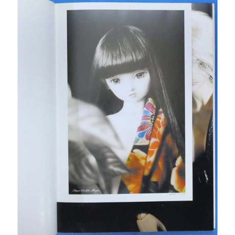 ドルパファイル スペシャル DOLPA FILE SP / 講談社