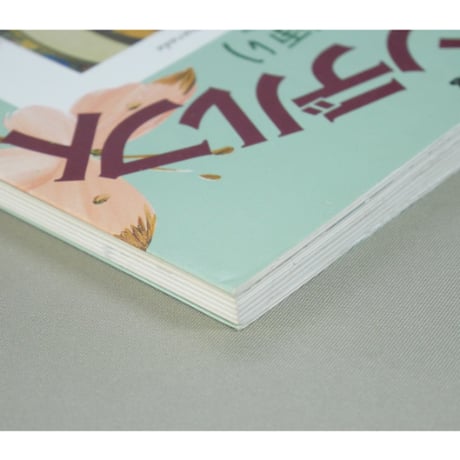 桂田アッセンデルフト オランダ花便り / 桂田淹代 / マコー社