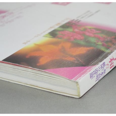 季刊銀花 第九十三号 春 1993年93号 文化出版局