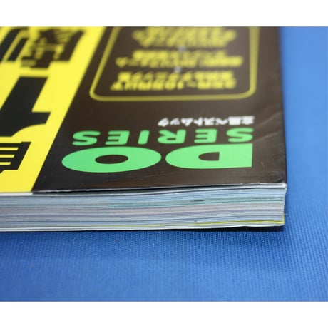 自分でできる！10万円で劇的リフォーム / DO SERIES / 立風書房
