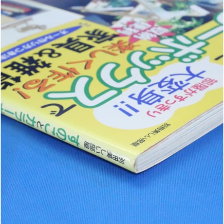 すのことカラーボックスで楽しく作る 収納便利 家具＆雑貨 / 主婦と生活社