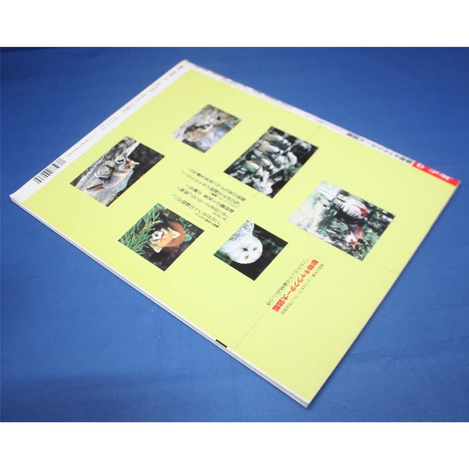 647aea6ca39907002bd614cc