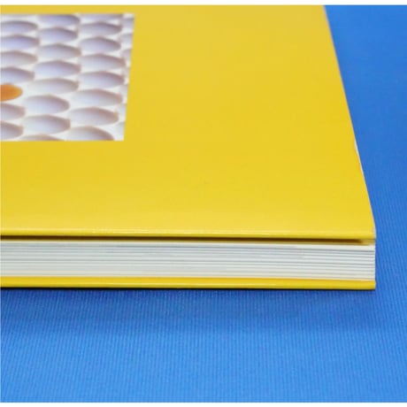Text Book お菓子 / ジャパンクッキングセンター