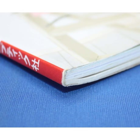 はじめてママでも安心！ 通園通学の手作り小物 / ブティック社 レディブティックシリーズno.2954