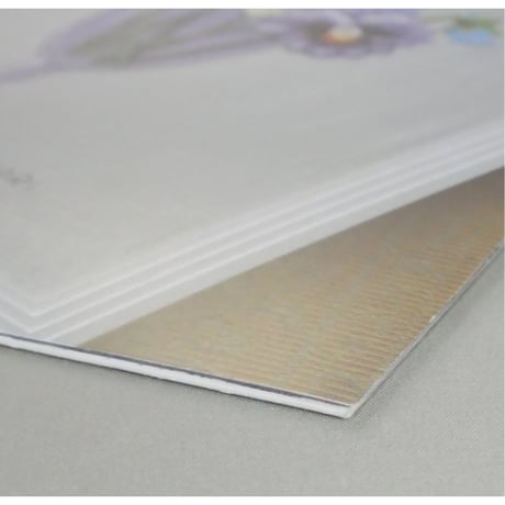 らぶりーなう Vol.227 / 2002年2月 オリムパスファミリークラブ