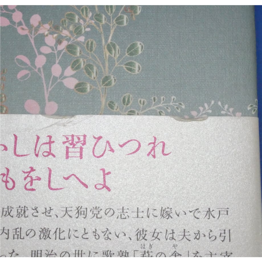 686a0b1156e39ca66f406f4d