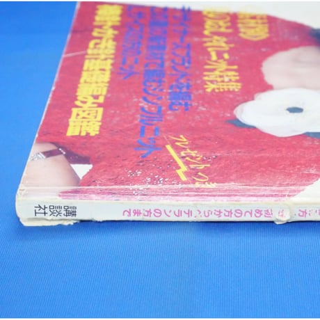 ミセスのサマーニット ウーマンブティックの手編み 春夏増刊 / 昭和60年 講談社