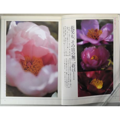 季刊銀花 第九十三号 春 1993年93号 文化出版局