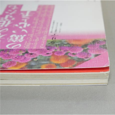 季刊銀花 第九十三号 春 1993年93号 文化出版局