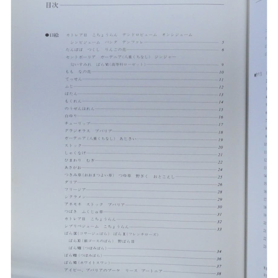 67d68c89e295355a9d1ebf91