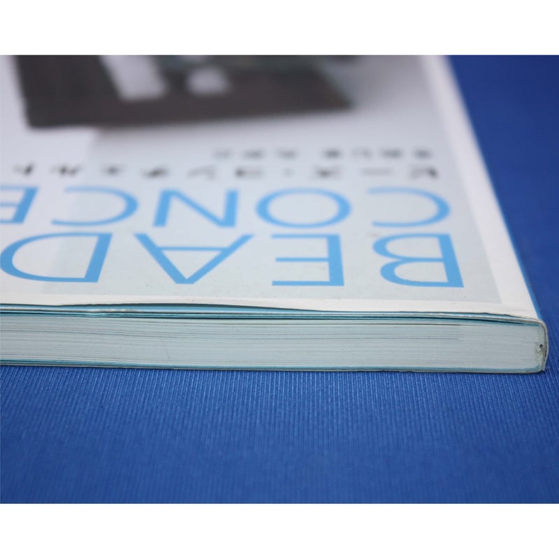 ビーズ・コンチェルト さめじまたかこ 日本文芸社 | IWブックス