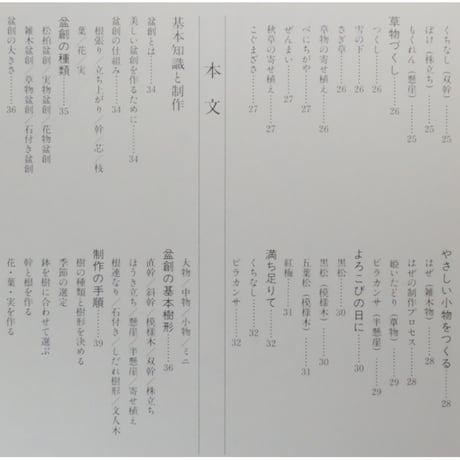 これからの創作盆栽 国藤光枝・盆創のすべて / マコー社