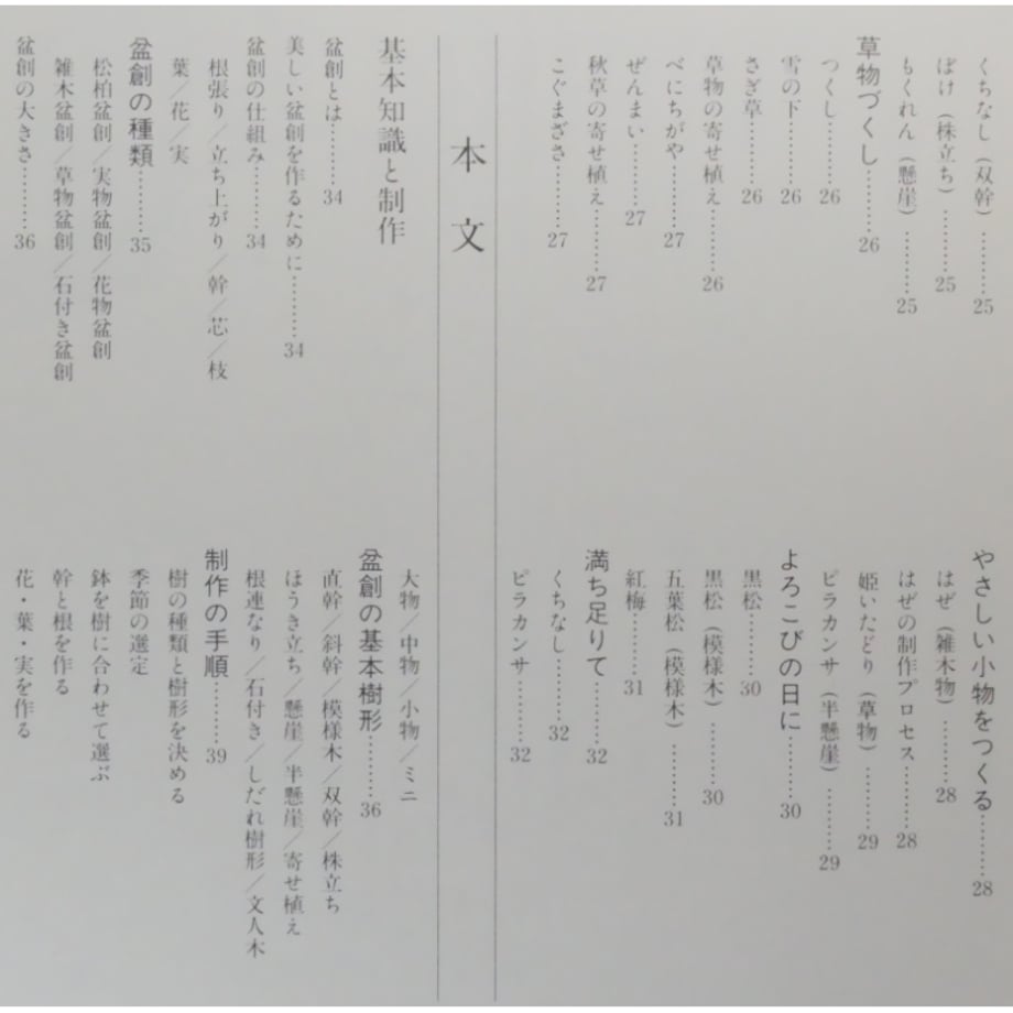 69d4b4e34961f50041b81555