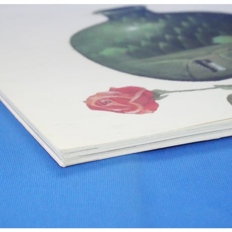 詩とメルヘン 2001年6月号 / サンリオ