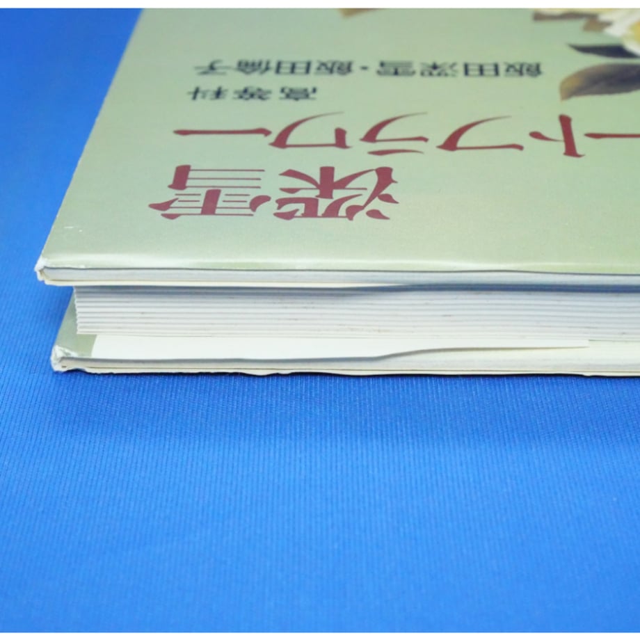 67d68c89e295355a9d1ebf91