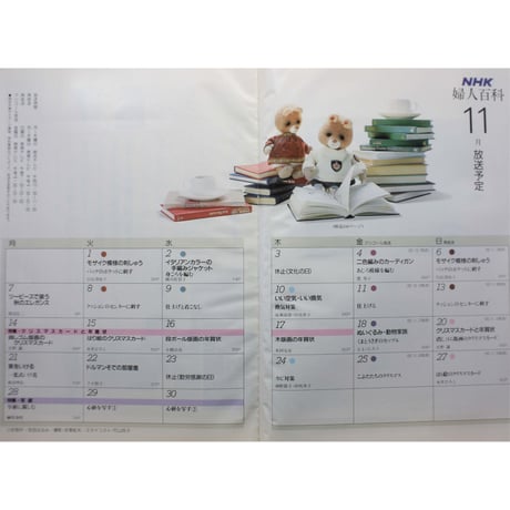 NHK婦人百科 昭和63年 / 1988年11月号