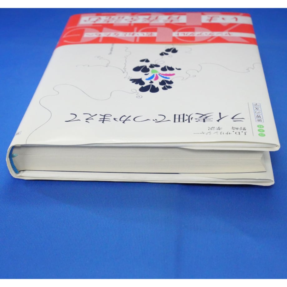 6869e7556c33ac74a5e7ab5a