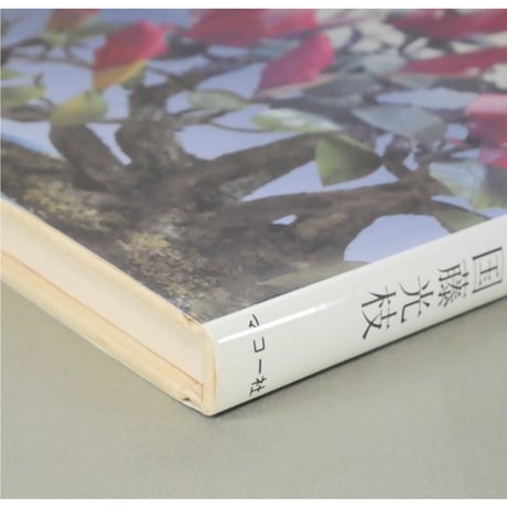 これからの創作盆栽 国藤光枝・盆創のすべて / マコー社
