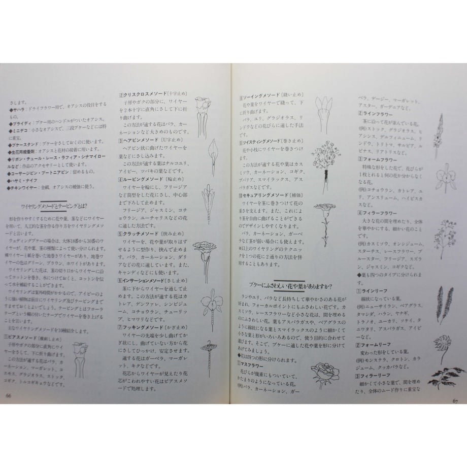 64b4e103a39907003868b36a