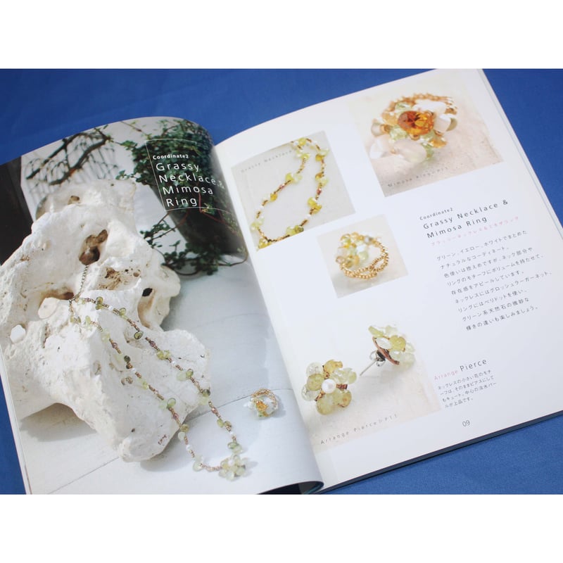 ビーズ・コンチェルト さめじまたかこ 日本文芸社 | IWブックス