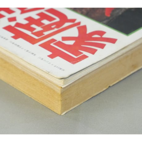 家庭洋裁9月号臨時増刊(昭和54年) 手作りの小物総集編 / ブティック社