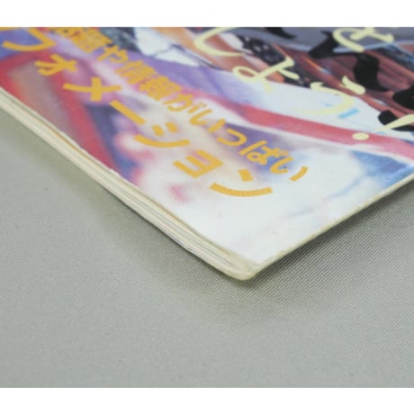 四季彩 トール＆ステンシル 98冬号 NO.19