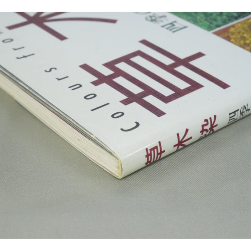 草木染 四季の自然を染める / 山崎和樹 / 山と渓谷社 | IWブックス