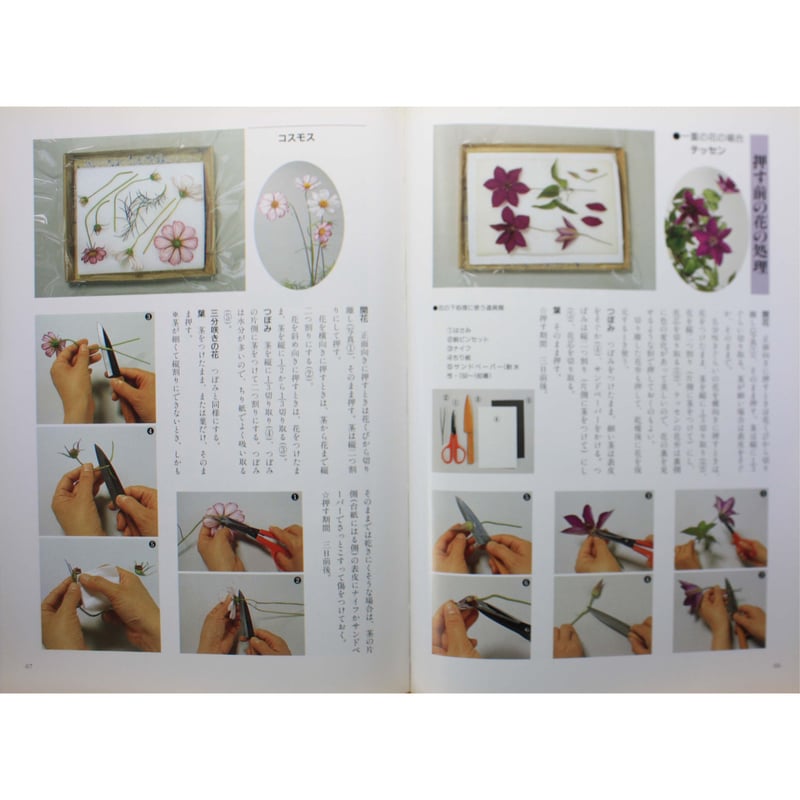 楽しい押し花づくり / 柳川昌子 / NHK婦人百科 / 日本放送出版協会