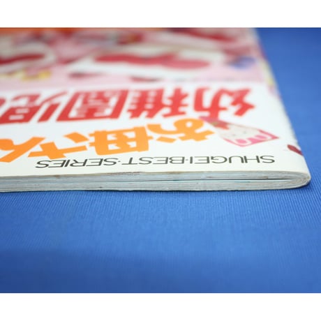 お母さんが作る幼稚園の袋物 小泉洋子 / 日本ヴォーグ社