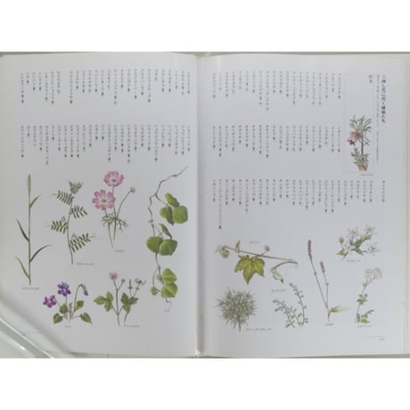 小さな花の押し花 PART2 思い出づくりのデザイン集 大沢節子 / NHK婦人百科 / 日本放送出版協会