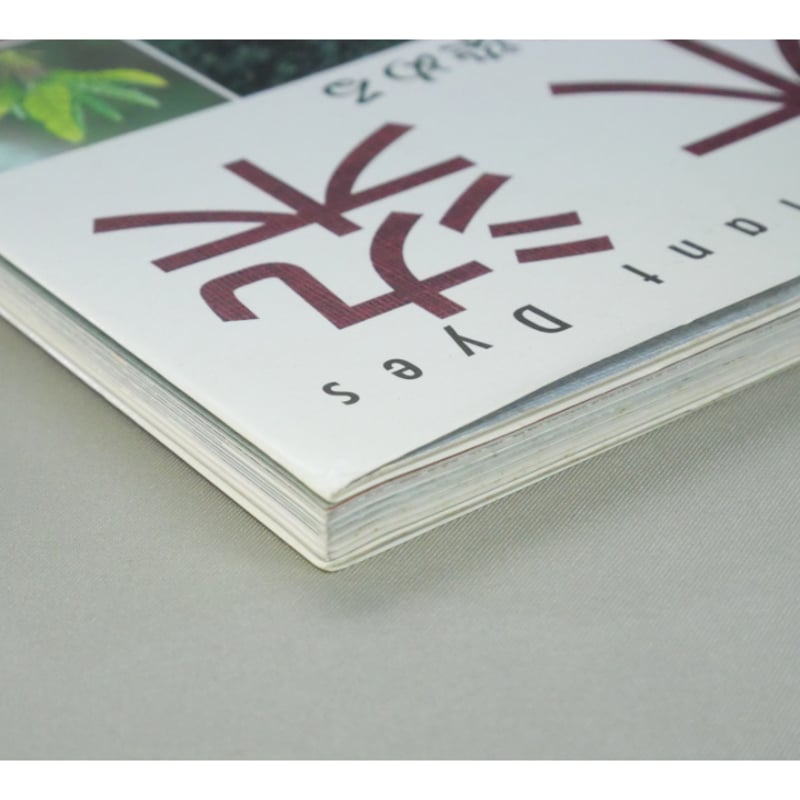 草木染 四季の自然を染める / 山崎和樹 / 山と渓谷社 | IWブックス